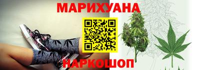 сатива Можга