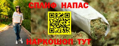 сатива Можга