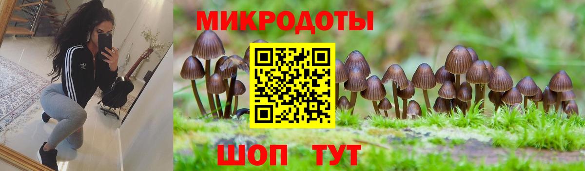 Галлюциногенные грибы Cubensis  Вход с VPN  Ялуторовск 